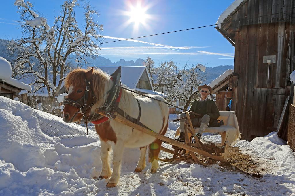 Schwadenguetl Villa Gosau Exteriör bild